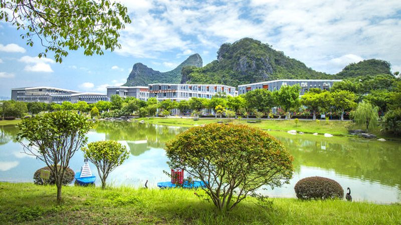电子代工代理加盟：揭秘其背后的机遇与挑战