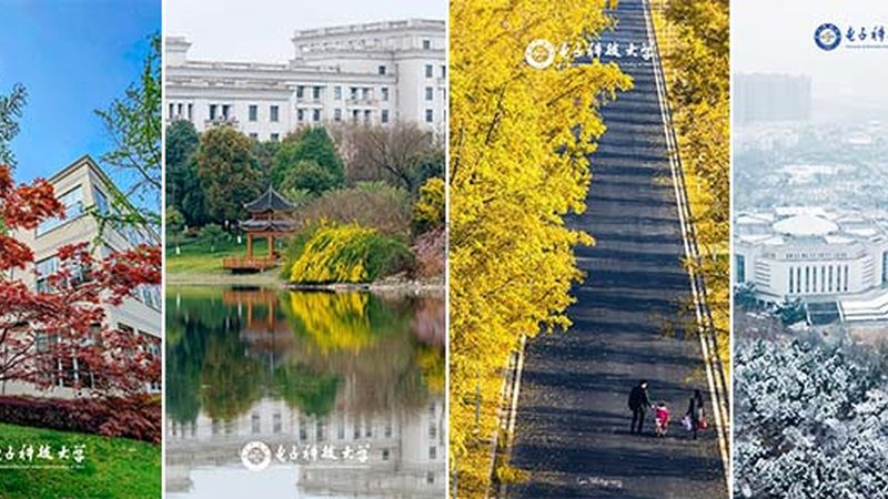电子配件尺寸参数表查询软件：如何快速定位理想配件？**